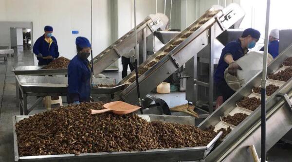 bifa·必发(中国)唯一官方网站