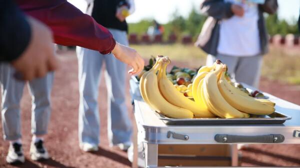 bifa·必发(中国)唯一官方网站