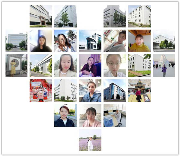 bifa·必发(中国)唯一官方网站