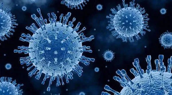 bifa·必发(中国)唯一官方网站