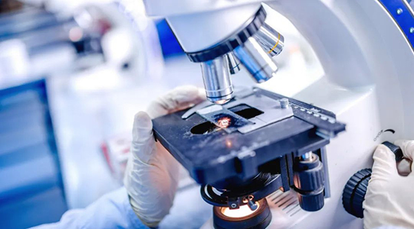 bifa·必发(中国)唯一官方网站