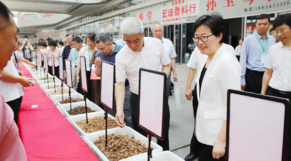 bifa·必发(中国)唯一官方网站