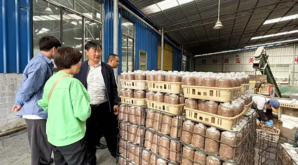 bifa·必发(中国)唯一官方网站