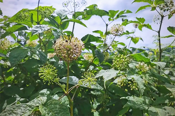 bifa·必发(中国)唯一官方网站