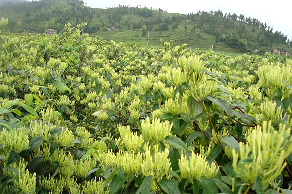 bifa·必发(中国)唯一官方网站